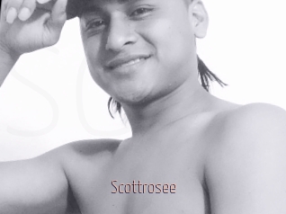 Scottrosee