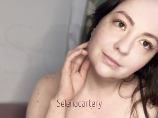 Selenacartery