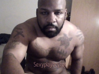 Sexyplayboytoy