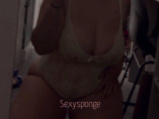 Sexysponge