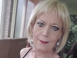 Shantahalais