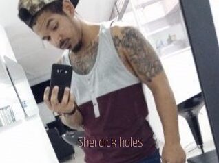 Sherdick_holes