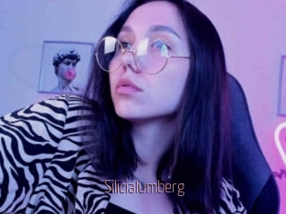 Silicialumberg