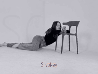 Silvakey