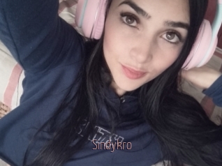 Sindykro