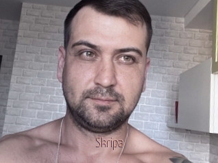 Skripa