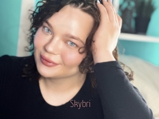 Skybri