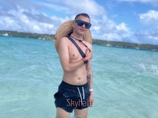 Skyhalle