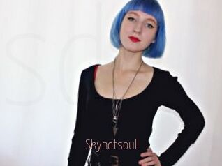 Skynetsoull
