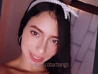 Sofiaescobarbangs