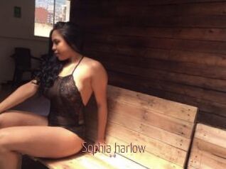 Sophia_harlow