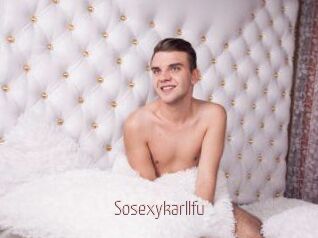 Sosexykarllfu