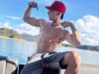Soymatt