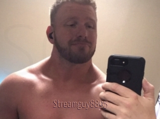 Streamguy8895