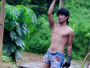 SuperbHORNYboy