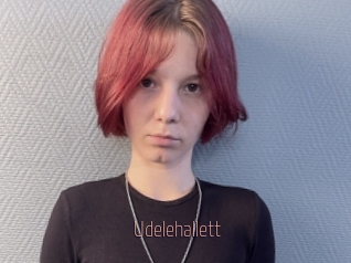 Udelehallett