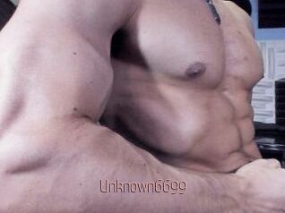 Unknown6699