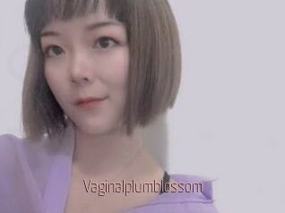 Vaginalplumblossom