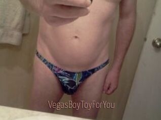 VegasBoyToyForYou