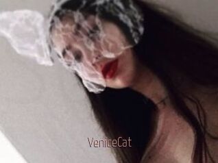 VeniceCat