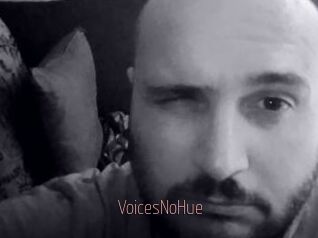 VoicesNoHue