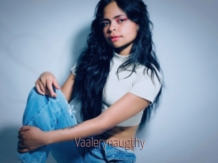 Vaalerynaugthy