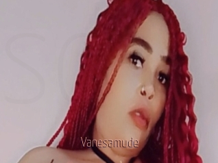 Vanesamude