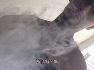 Vapor_genie