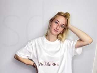 Vedalakes