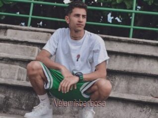 Velamikbarbosa