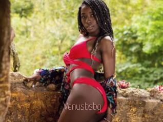 Venusbsbq