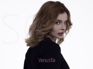 Venusfai