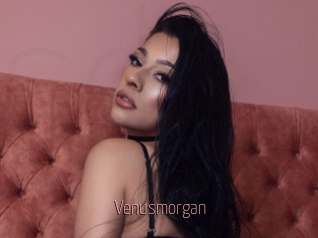 Venusmorgan