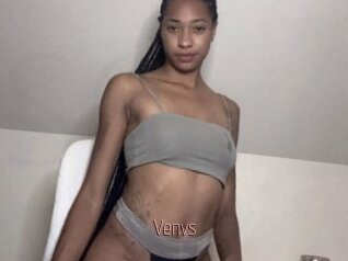 Venvs