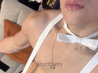 Vincentbunny