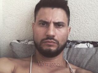 Vldmr_gaus