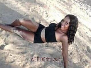 WETEBONY1993