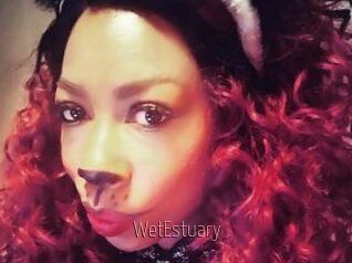 WetEstuary