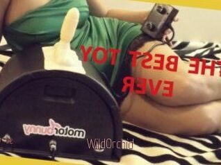 WildOrchid_