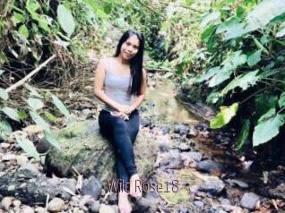 Wild_Rose18