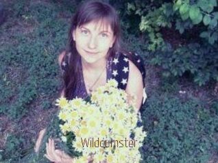 Wildcumster