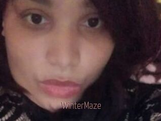 Winter_Maze