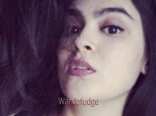 Wandafudge
