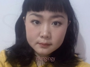 Wangjingy