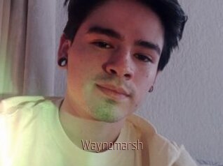 Waynemarsh