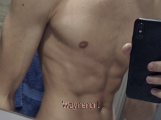 Waynenort