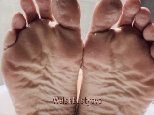 Welshbustyava