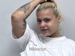 Wildaecton