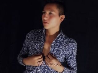 Wildboysex