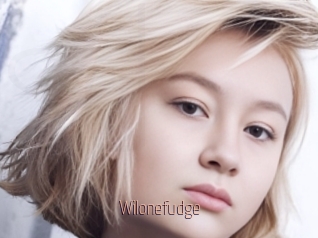 Wilonefudge